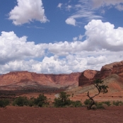 Capitol Reef NP 5